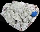 Bright Blue Cavansite Crystals on Micro Stilbite - India #44809-1